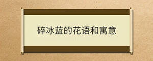 问答 - 2022-11-14T151412.071.jpg
