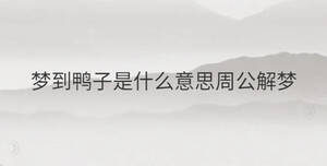 /nameask/31936.html