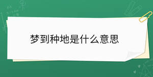 /nameask/32020.html