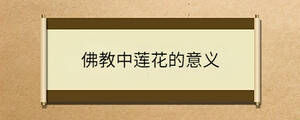 /nameask/32044.html