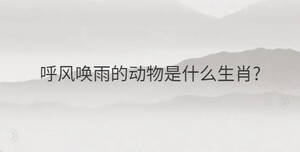 /nameask/32050.html