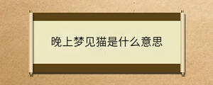 /nameask/32202.html