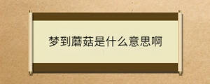 /nameask/32306.html