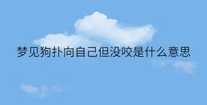 /nameask/32366.html