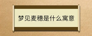 问答 - 2022-10-19T152046.927.jpg