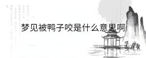 背景图 - 2022-12-09T110801.698.jpg