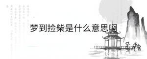 /nameask/32739.html