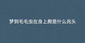 /nameask/32874.html