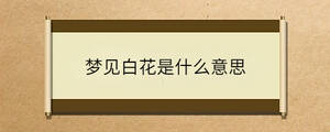 问答 - 2022-12-15T163036.548.jpg