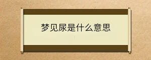 梦见尿是什么意思