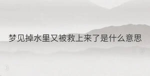 简单 - 2022-12-15T114433.396.jpg