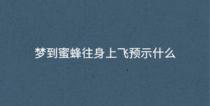 /nameask/33015.html