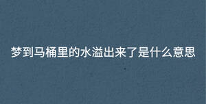 /nameask/33016.html