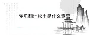 背景图 - 2022-12-20T144518.718.jpg