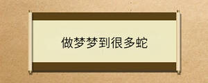 /nameask/33113.html