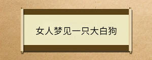 /nameask/33141.html