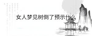 背景图 - 2022-12-09T153731.124.jpg