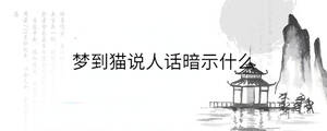 背景图 - 2022-12-26T160007.381.jpg