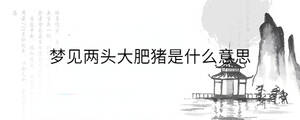 背景图 - 2022-12-27T115323.095.jpg