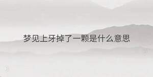 简单 - 2022-12-27T112311.876.jpg