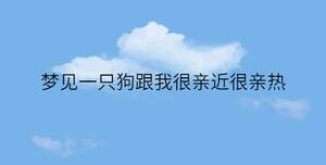 /nameask/33337.html