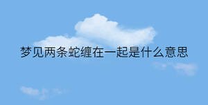 简约蓝色背景 - 2022-12-27T135418.181.jpg