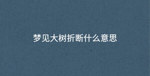 深色背景 - 2022-12-29T095140.850.jpg