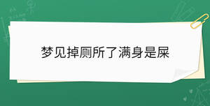 梦见掉厕所了满身是屎