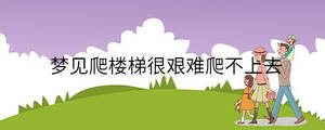 /nameask/33568.html