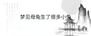 背景图 - 2023-01-04T094216.927.jpg