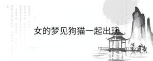 背景图 - 2023-01-11T150534.679.jpg