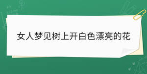 /nameask/33970.html