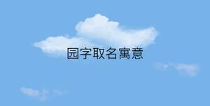 简约蓝色背景 - 2023-01-13T115124.424.jpg