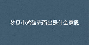 /nameask/34204.html