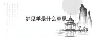 背景图 - 2023-02-06T160923.975.jpg