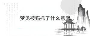 背景图 - 2023-02-08T151501.246.jpg