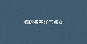/nameask/34446.html