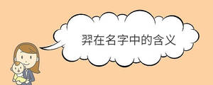 宝宝取名 - 2023-02-10T115230.371.jpg
