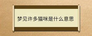 /nameask/34664.html