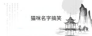 背景图 - 2023-02-17T165121.566.jpg