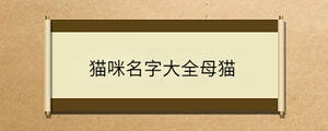 问答 - 2023-02-17T164446.571.jpg
