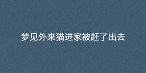 /nameask/34962.html