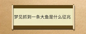 /nameask/35008.html