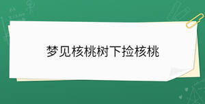 /nameask/35032.html