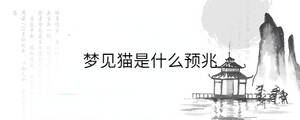 背景图 - 2023-02-28T152926.131.jpg