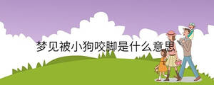 /nameask/35148.html