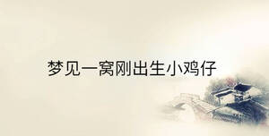 /nameask/35337.html