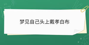 /nameask/35558.html