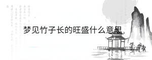 /nameask/36070.html