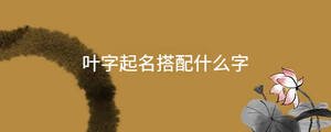 /nameask/36135.html